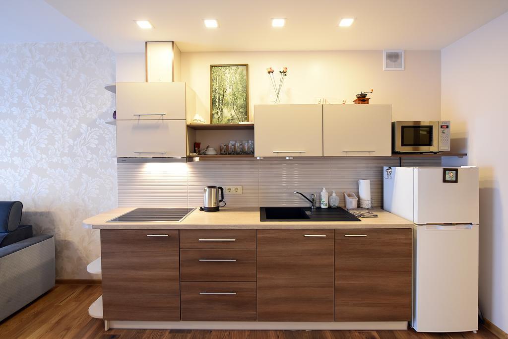 Butas Druskupio Apartment Birstonas Luaran gambar